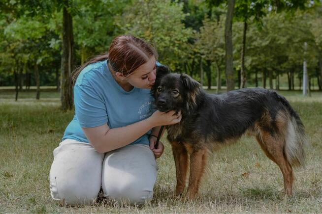 Flafi- średniej wielkości psiak do odpowiedzialnej adopcji
