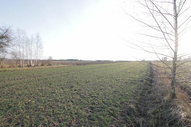 Działka budowlana blisko Lubartowa tylko 4 km