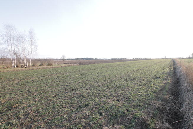 Działka budowlana blisko Lubartowa tylko 4 km