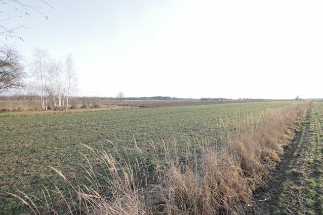 Działka budowlana blisko Lubartowa tylko 4 km