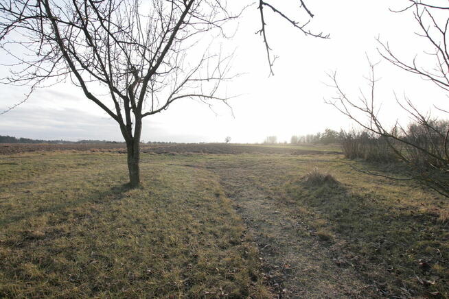 Działka budowlana blisko Lubartowa tylko 4 km