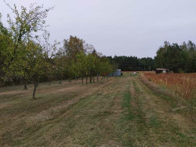 Działka budowlana blisko Lubartowa tylko 4 km