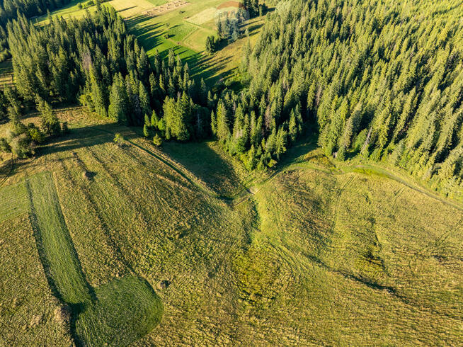 Działka rolno-leśna Zakopane