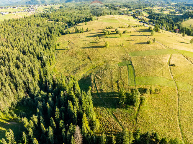 Działka rolno-leśna Zakopane
