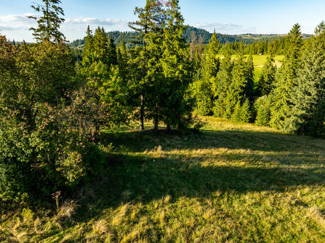 Działka rolno-leśna Zakopane