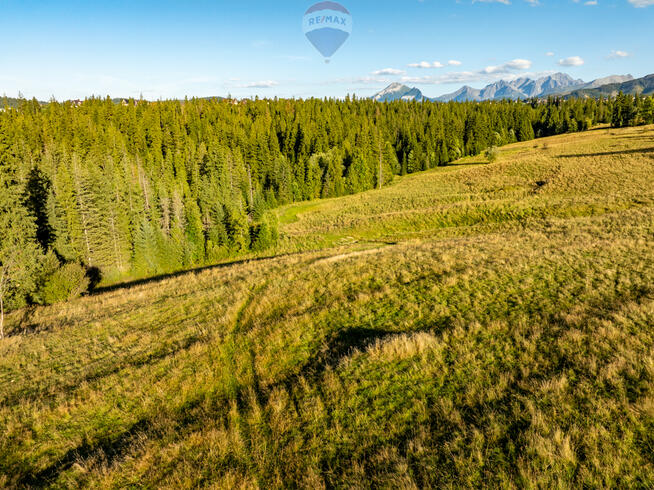 Działka rolno-leśna Zakopane