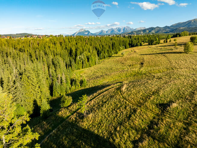 Działka rolno-leśna Zakopane