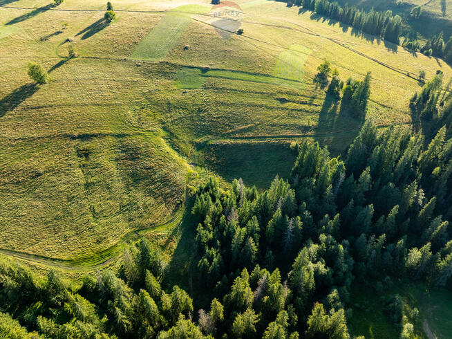 Działka rolno-leśna Zakopane