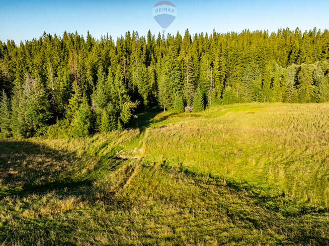 Działka rolno leśna Zakopane