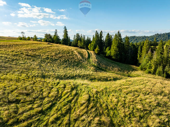 Działka rolno leśna Zakopane