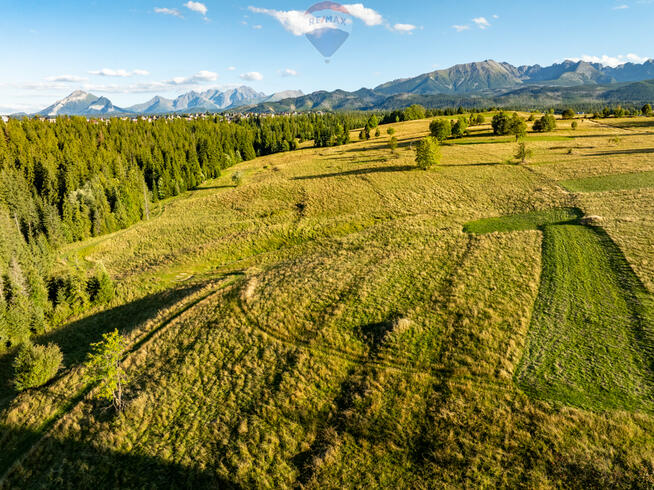 Działka rolno leśna Zakopane
