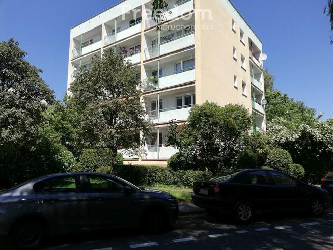 Słoneczne mieszkanie 2 pokojowe przy ul. Drzymały