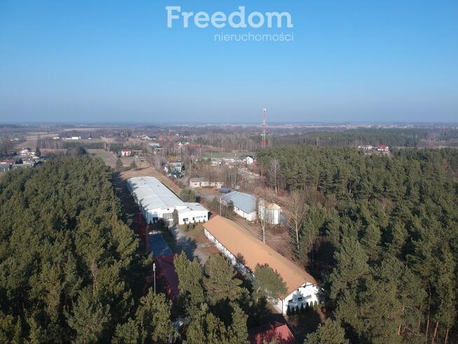 Hala produkcyjno-przemysłowa z zapleczem socjalnym