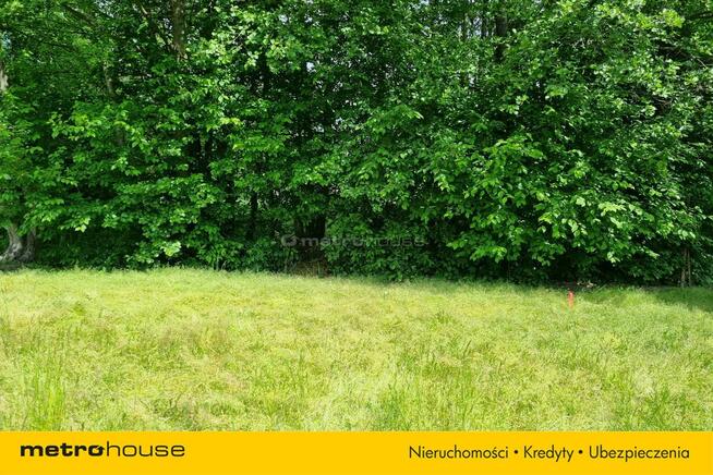 Kup działkę i spełnij marzenie o domu