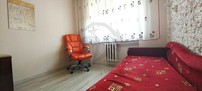 Tylko Młotek i wiertarka