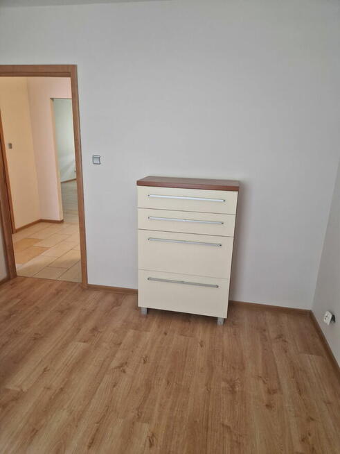 Wynajmę mieszkanie w Śródmieściu