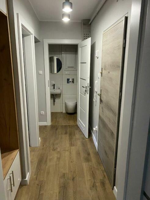 do wynajęcia - 33m2, ładne, zadbane, Leszno -ul. Sikorskiego