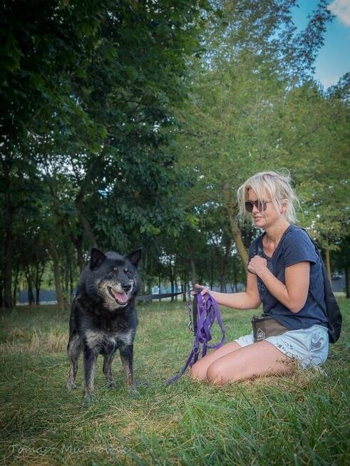 Lopez- starszy, delikatny, niewidoczny pies do adopcji