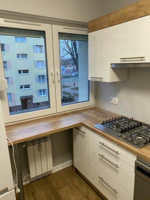 do wynajęcia - 33m2, ładne, zadbane, Leszno -ul. Sikorskiego