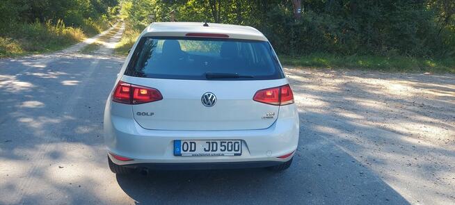 Przepiękny Golf 7