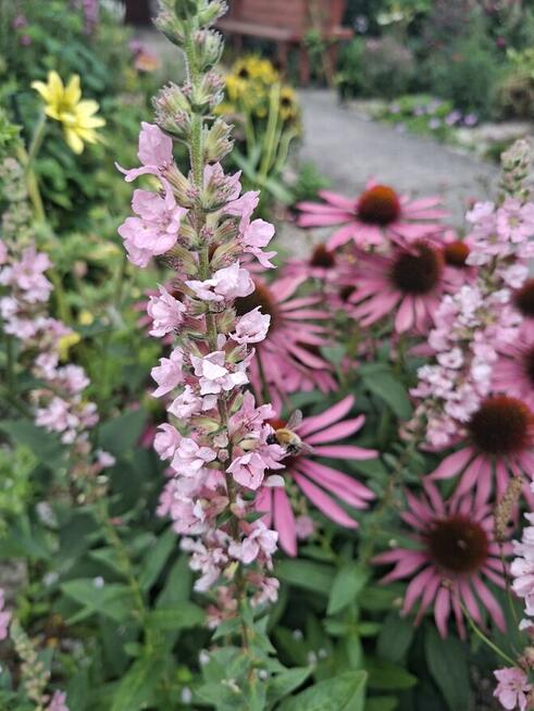 Działka rekreacyjna