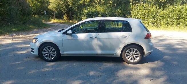 Przepiękny Golf 7