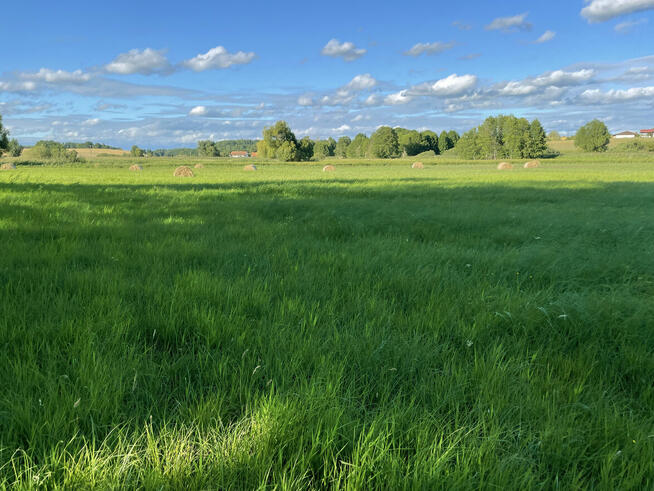 Sprzedam 4 działki w Idzbarku (gm. Ostróda) - przy rzece