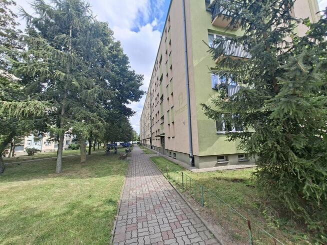 Mieszkanie ul.Orlicz-Dreszera 13