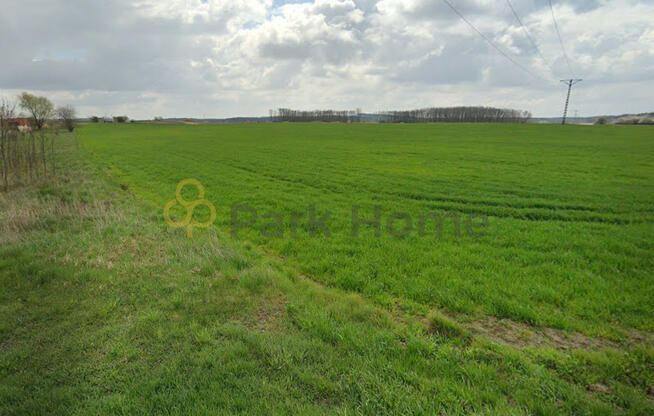 Działka inwestycyjna Śmigiel,