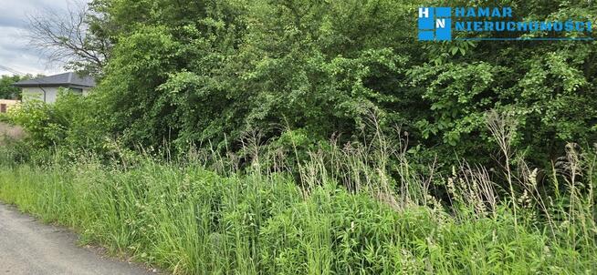 Działka o pow. 1580m2 z dostępem do mediów