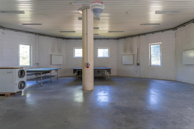 Bez prowizji! 350 m2: Produkcja, Usługi, Magazyn