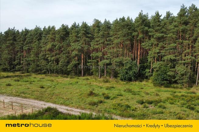 Uzbrojona działka pod lasem pod Kołobrzegiem