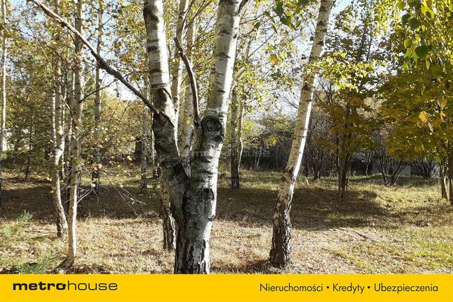 Działka Żeliszew Duży