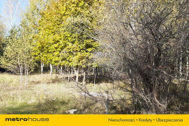 Działka Żeliszew Duży