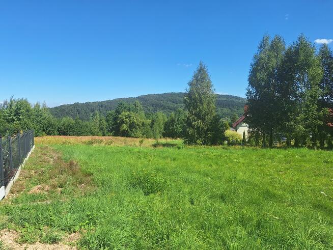 Dziaka budowlana w pobliżu lasu