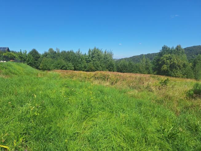 Dziaka budowlana w pobliżu lasu