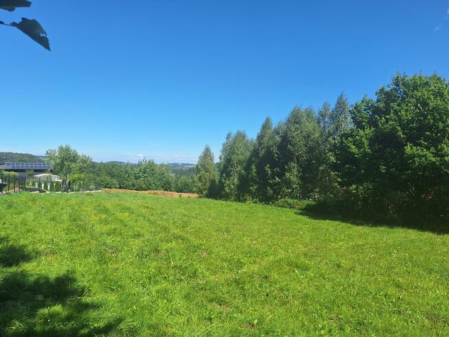 Dziaka budowlana w pobliżu lasu