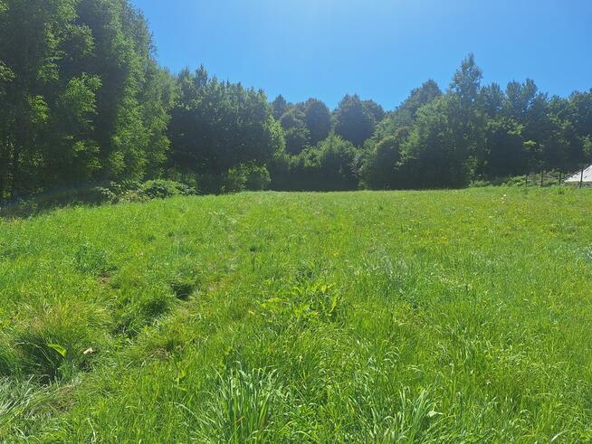 Dziaka budowlana w pobliżu lasu