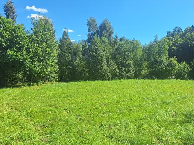 Dziaka budowlana w pobliżu lasu