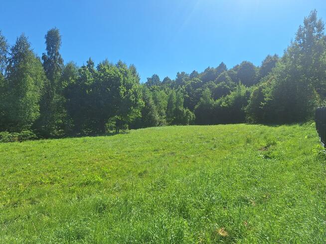 Dziaka budowlana w pobliżu lasu
