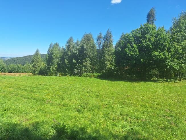 Dziaka budowlana w pobliżu lasu