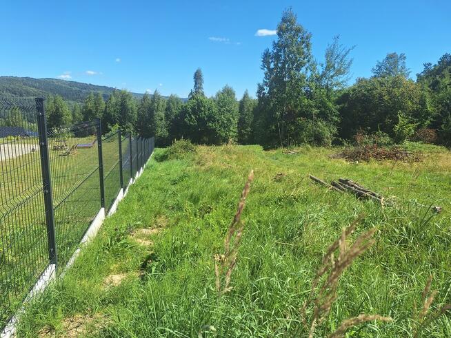 Dziaka budowlana w pobliżu lasu