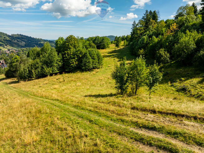 Działka rolna w Zakopanem - Bachledzki Wierch