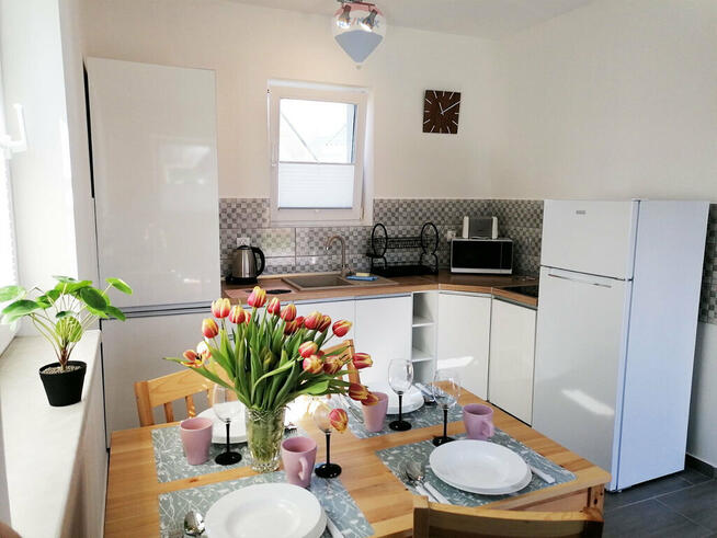 Gotowy biznes – domki całoroczne w Sarbinowie