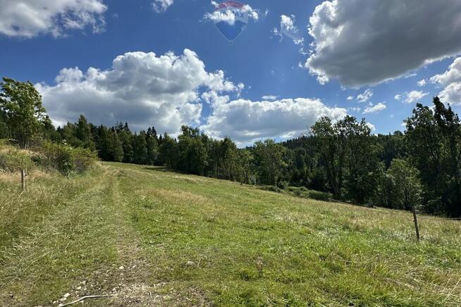 Działka rolno-leśna w Gorcach