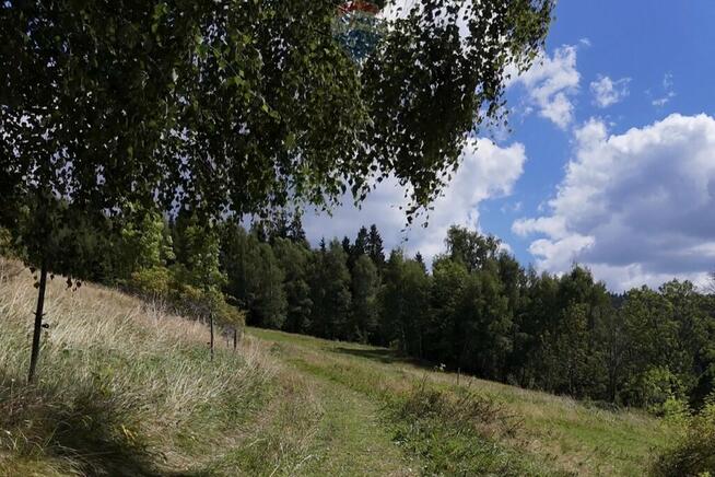 Działka rolno-leśna w Gorcach