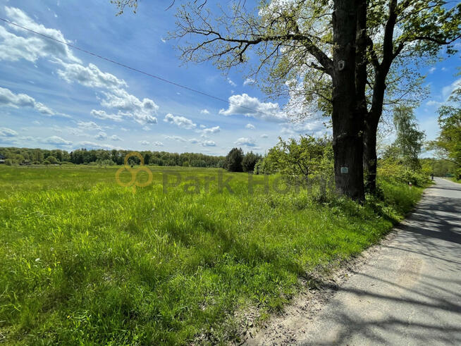 Działka inwestycyjna Bądzów gm. Jerzmanowa,