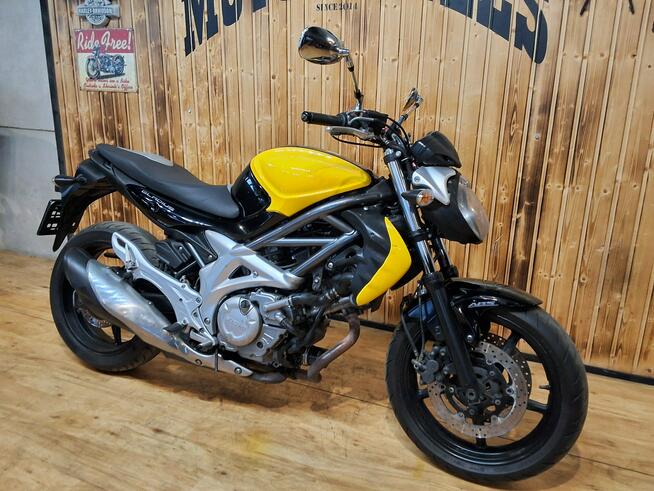 Suzuki SFV Gladius suzuki gladius 650 SFV RATY kup online ABS