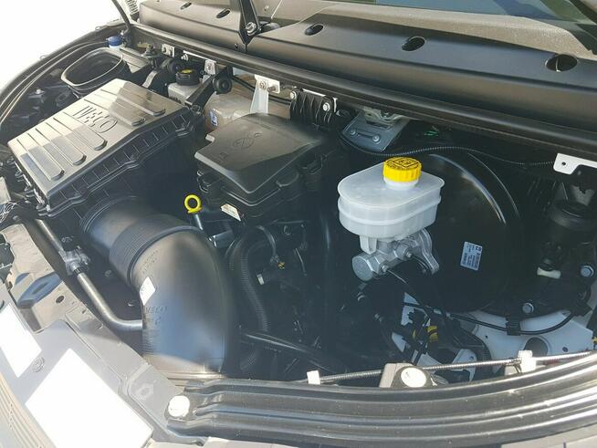 Iveco Daily KONTENER NISKOPODŁOGOWY 4,43x2,23x2,42 SKLEP BAR FOODTRUCK KAMPER AC