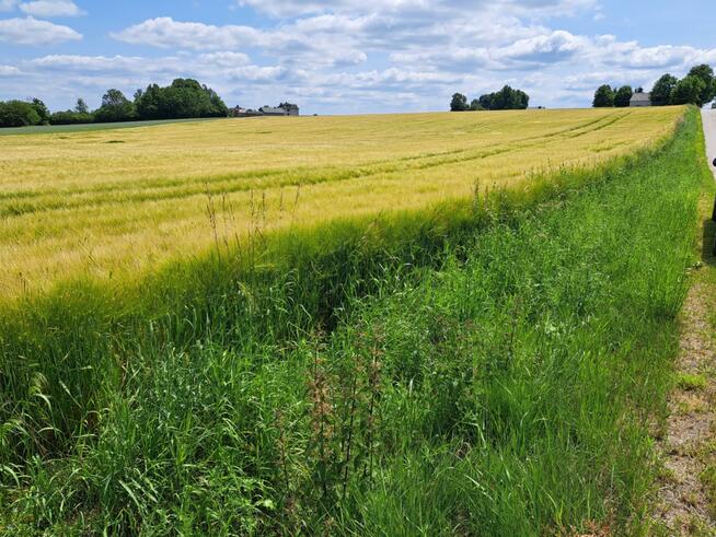 Działka budowlana Wielmoża gm. Sułoszowa
